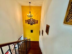 Holland Grove Road (D10), Terrace #582593541